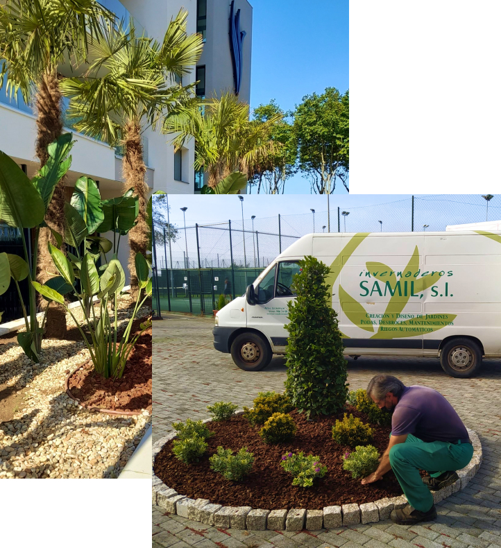 Especializados<br />
en servicios de<br />
jardinería